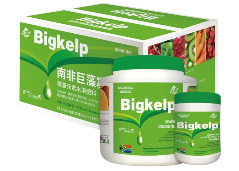 Bigkelp
