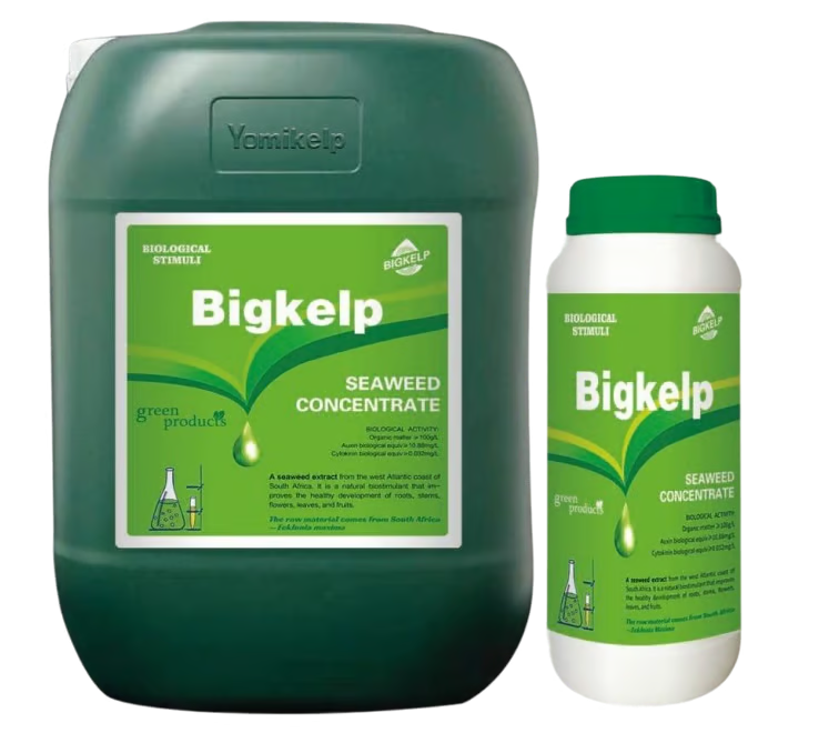 Bigkelp Concentrate