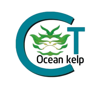 CT Ocean Kelp Logo