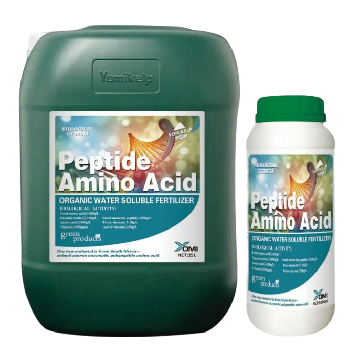 Peptide Amino Acid