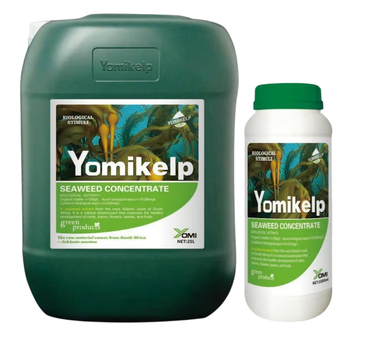 Yomikelp Concentrate